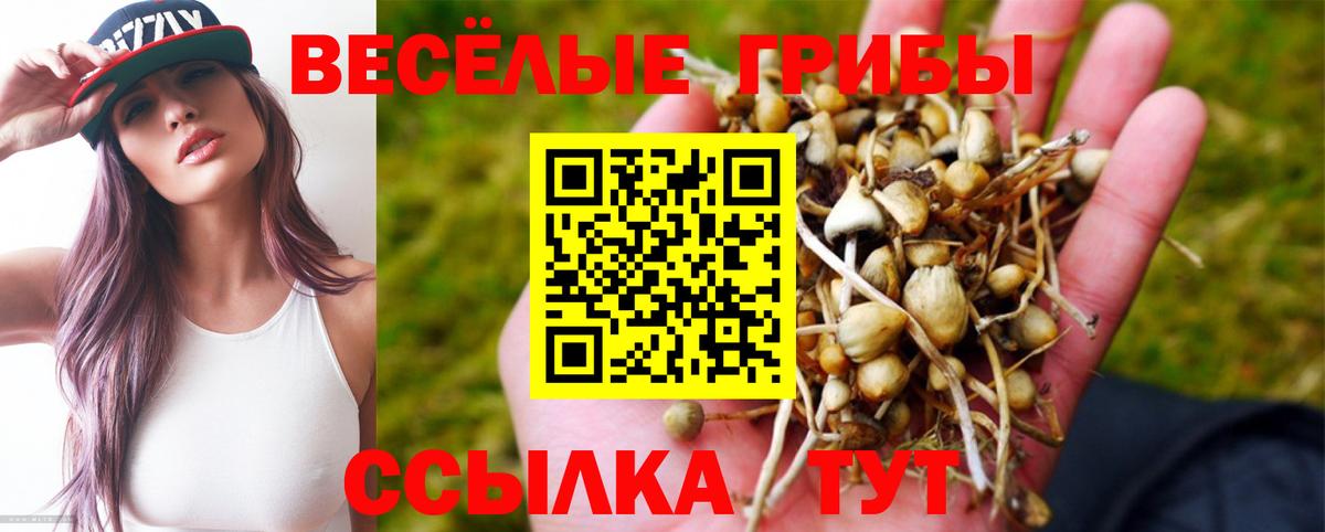Псилоцибиновые грибы Magic Shrooms  Вход с VPN  Красноярск 